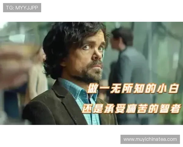 索命记忆牵动旧城恩怨揭开跨时空连环追凶秘案终极真相 索命记忆牵动旧城恩怨揭开跨时空连环追凶秘案终极真相