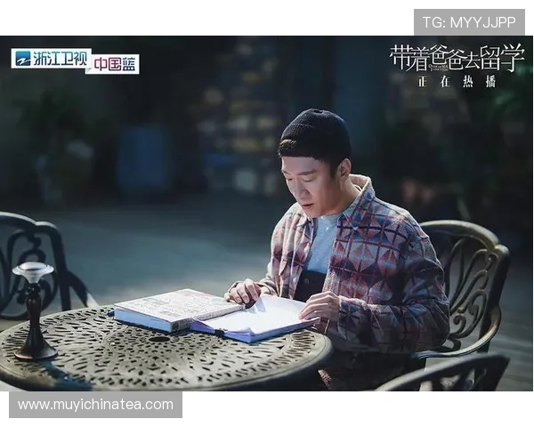 《泰囧》:一次笑中带泪的泰国奇遇,一场关于人生选择的深度解析 《泰囧》:一次笑中带泪的泰国奇遇,一场关于人生选择的深度解析