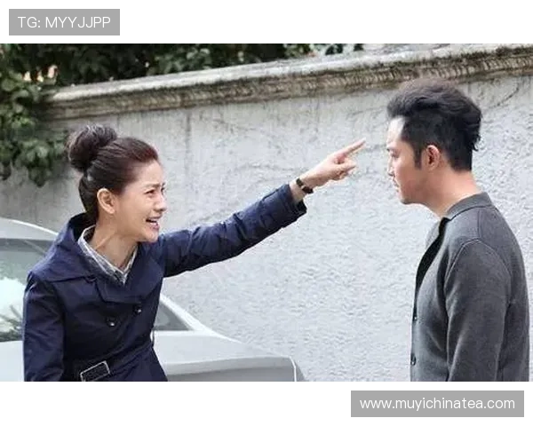 南方岳母北方婿：跨越山海的爱，温情融汇的家