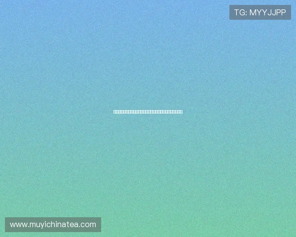 《菜鸟探员》：你从未见过的神仙颜值与爆笑剧情的奇妙碰撞！