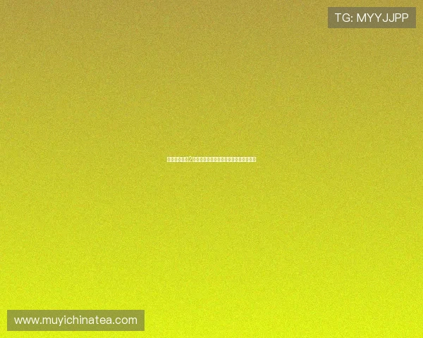 《爸爸去哪儿2大电影》：一场关于爱与成长的奇幻旅程