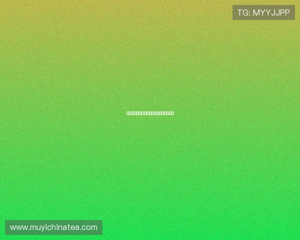 【剑魂不灭】——聆听传奇剑豪的百年低语