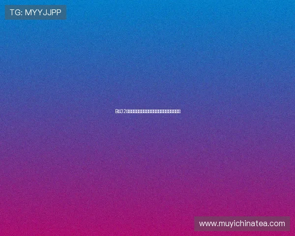 B区32号：不止于号码，一场关于未知与重生的生活探索