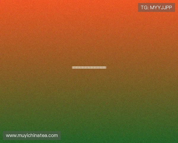 媳妇的烦恼：当爱变成一种负担，我们该何去何从？