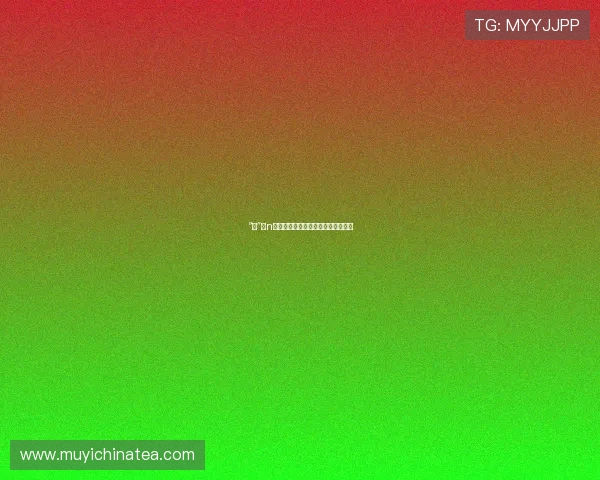 “家”的n次方：解锁无限可能，筑就梦想生活