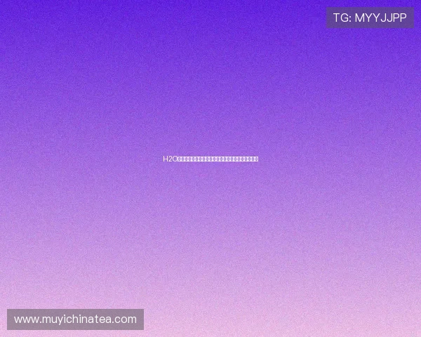 H2O夏日阳光：解锁身心清爽，点亮活力无限的夏日秘籍