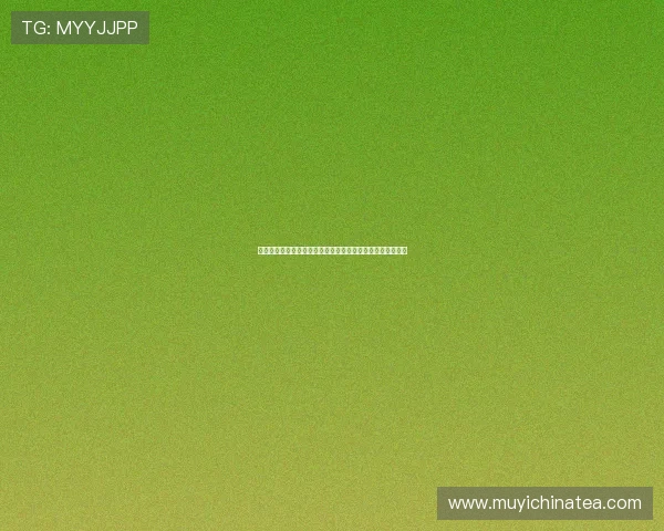 《哆来咪发唆》：不止是电影，更是一场涤荡心灵的音乐奇旅