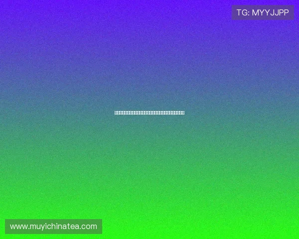 《爱情经纪约》:当缘分遇上契约,一场心动与博弈的浪漫启程 《爱情经纪约》:当缘分遇上契约,一场心动与博弈的浪漫启程