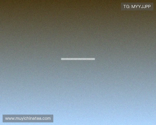 《我是特种兵之利刃出鞘》:铁血柔情,信仰铸就尖刀传奇