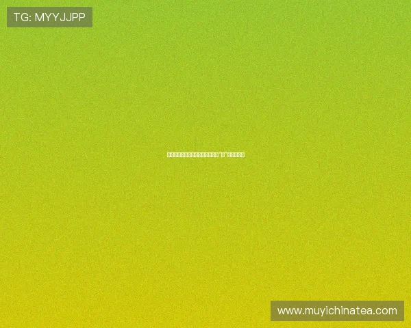 尖叫吧!这个夏天,凶灵假期带你“尸”在不言中!