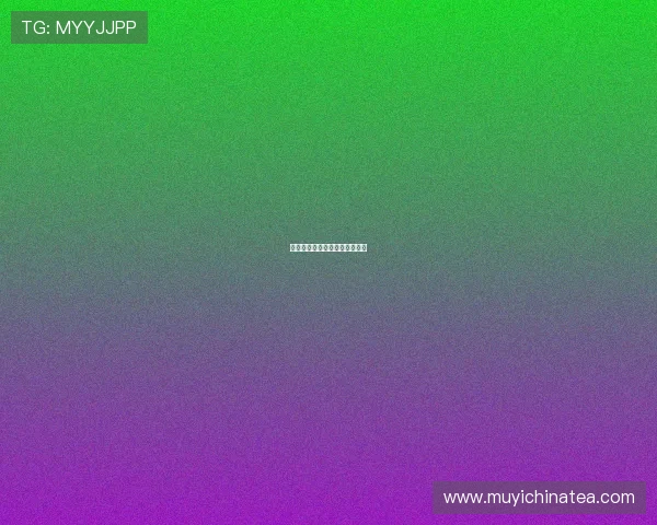 廉政风暴：涤荡污浊，重塑清明