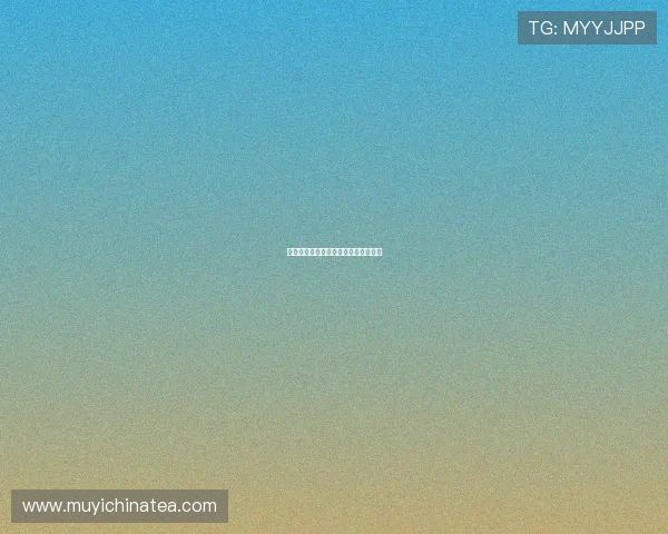 格蕾丝的救赎：在黑暗中点燃希望之光