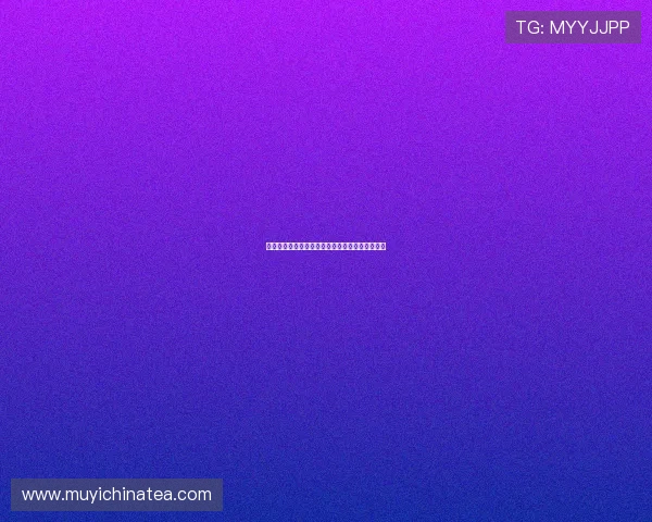 橄榄球人生：在绿茵场上淬炼，在生活赛道上奔跑