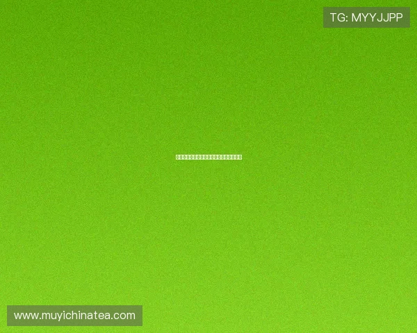 木兰传奇：巾帼不让须眉，千年风华永流传