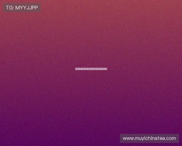 猪猪的奇幻漂流：一场关于爱与治愈的暖心之旅