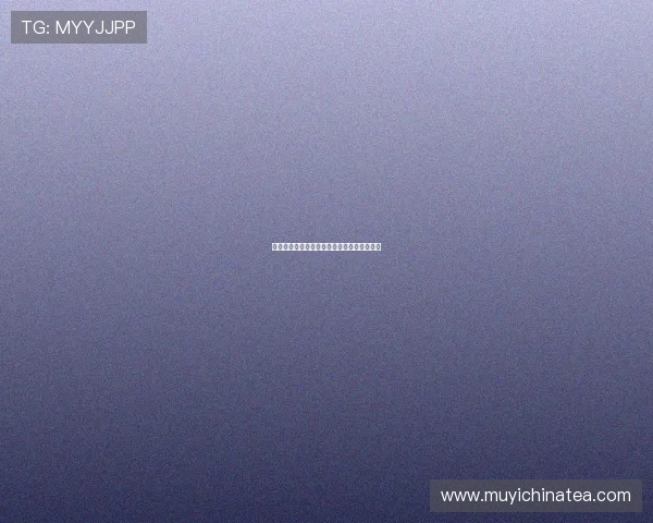 百万爱情宝贝：开启一段触动灵魂的浪漫奇遇