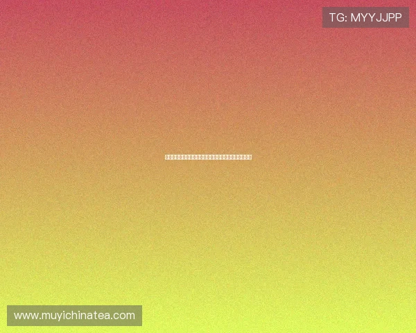 绝命圣诞夜：当温情邂逅惊魂，一场生死时速的极致博弈